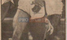 pic-2_20100322_1576816913